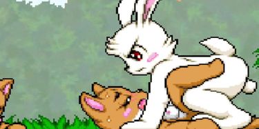 Bunny Sex Game